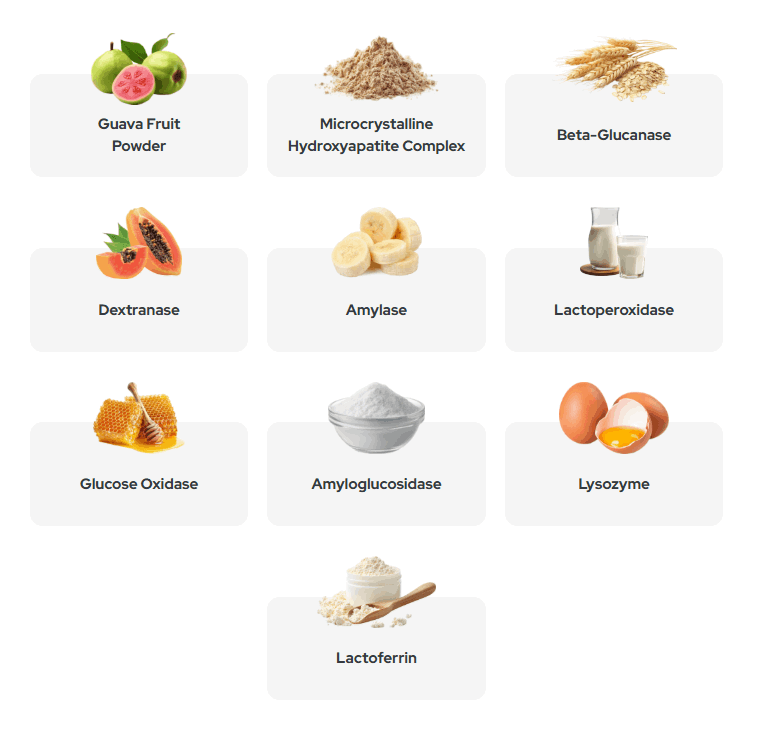Ingredients of Synadentix